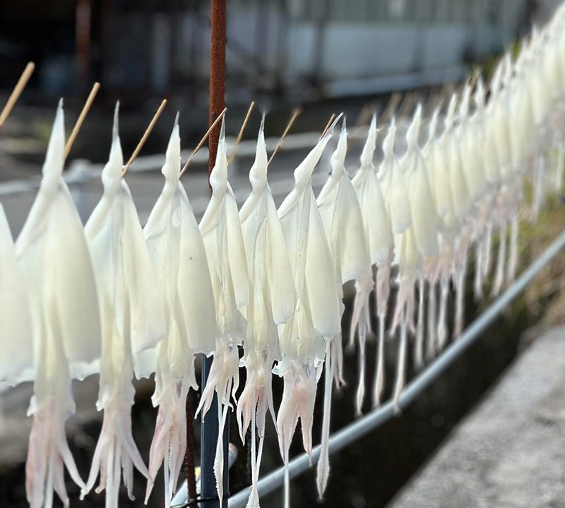 魚は鮮度が命!