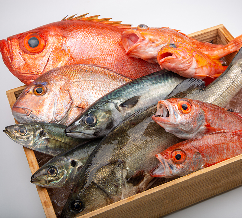 宇和海で獲れた鮮度抜群の魚を買うことができます!